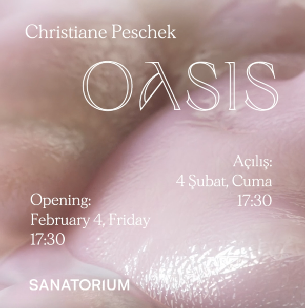 Christiane Peschek | OASIS